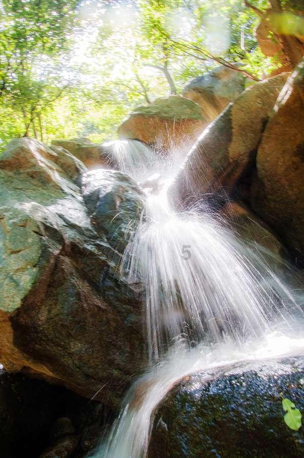 莫雷岛逃脱